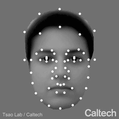 A morphing face with white dots