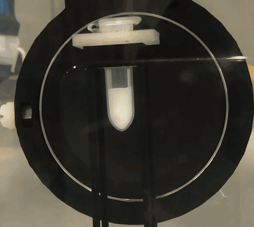 A animated gif showing a small vial filled with a milky solution. The solution turns clear in an instant when ultrasound is applied to it.