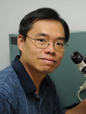 A portrait of David Chan