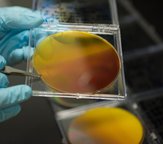Solar fuels