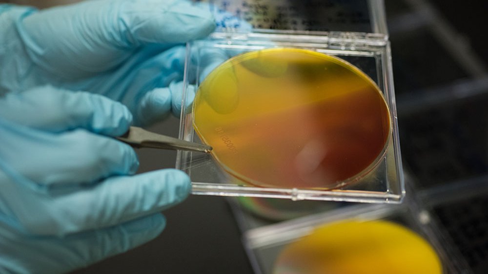 Solar fuels
