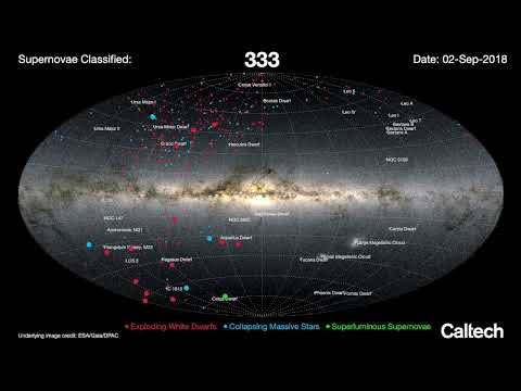 A sound explosion of cosmic explosions: ZTF supernovae sonified