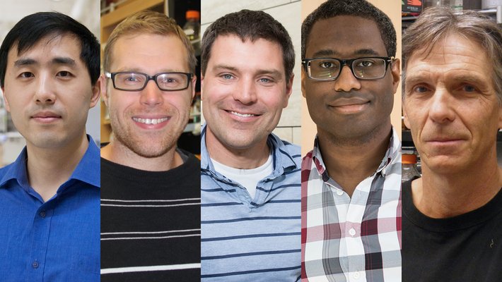 Headshots of five people arranged in a row