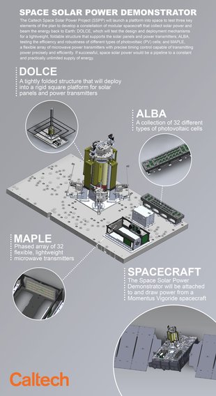 Infographic