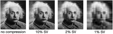 Four copies of the black and white photograph of Albert Einstein with 100% clarity (no compression), 10% singular values (blurrier), 2% singular values (even blurrier), and 1% singular values (recognizable as the same photo but extremely blurry)